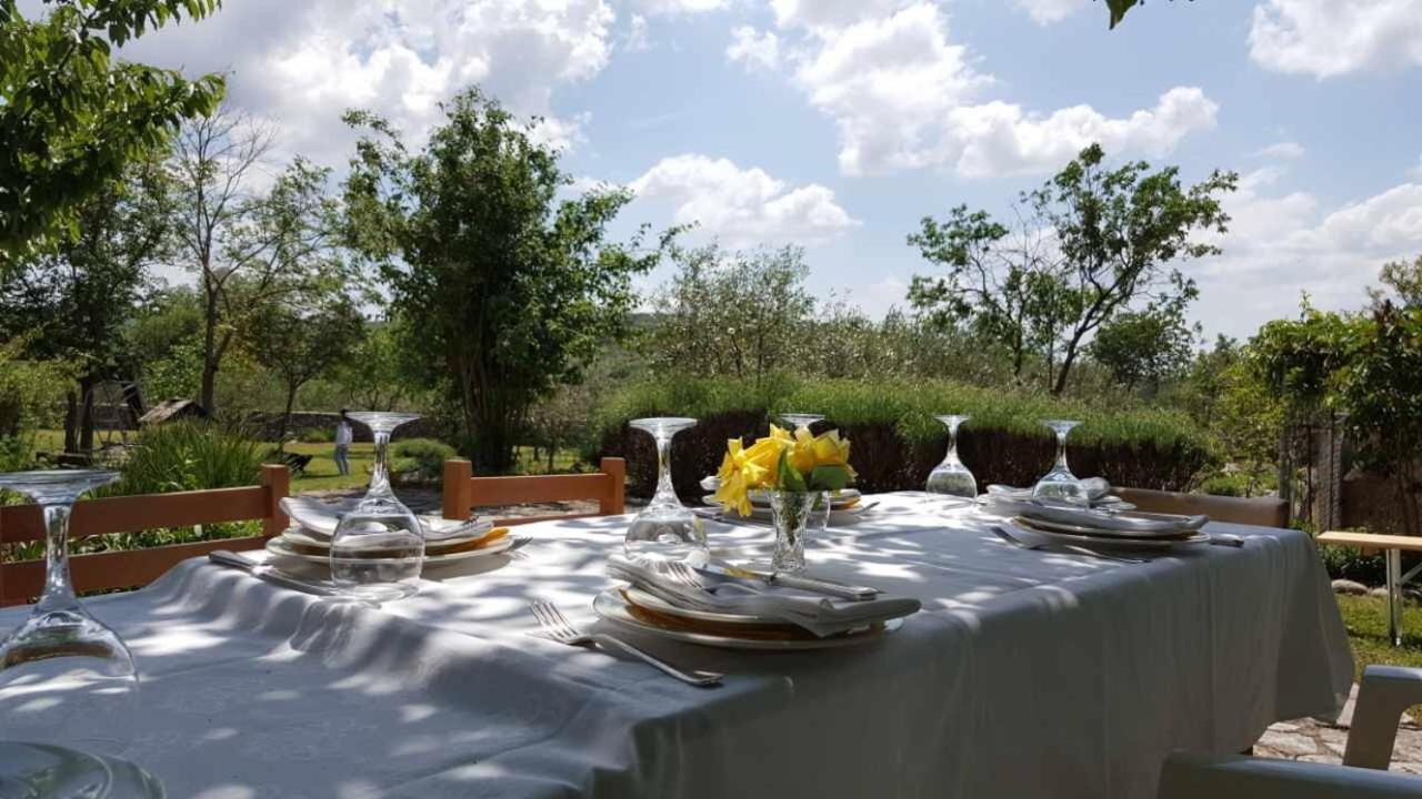 Holiday Home "Kike & Mara" Drniš Екстериор снимка