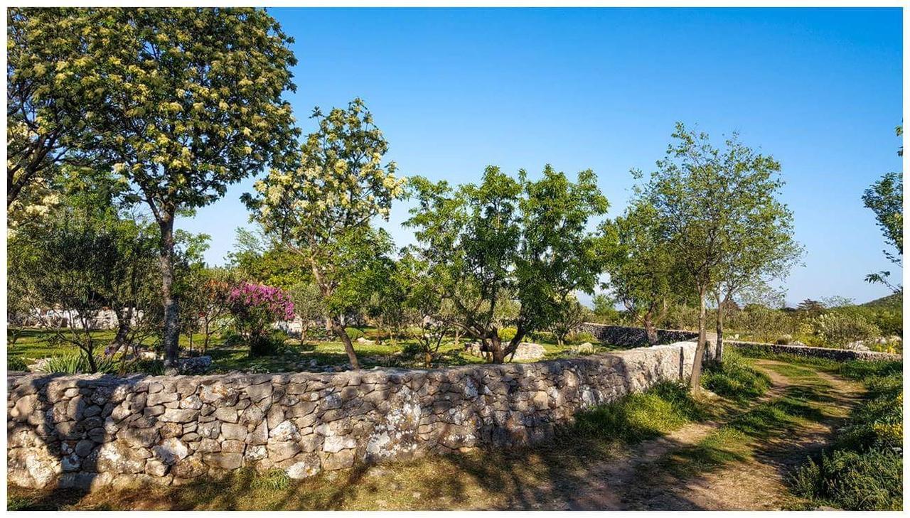 Holiday Home "Kike & Mara" Drniš Екстериор снимка